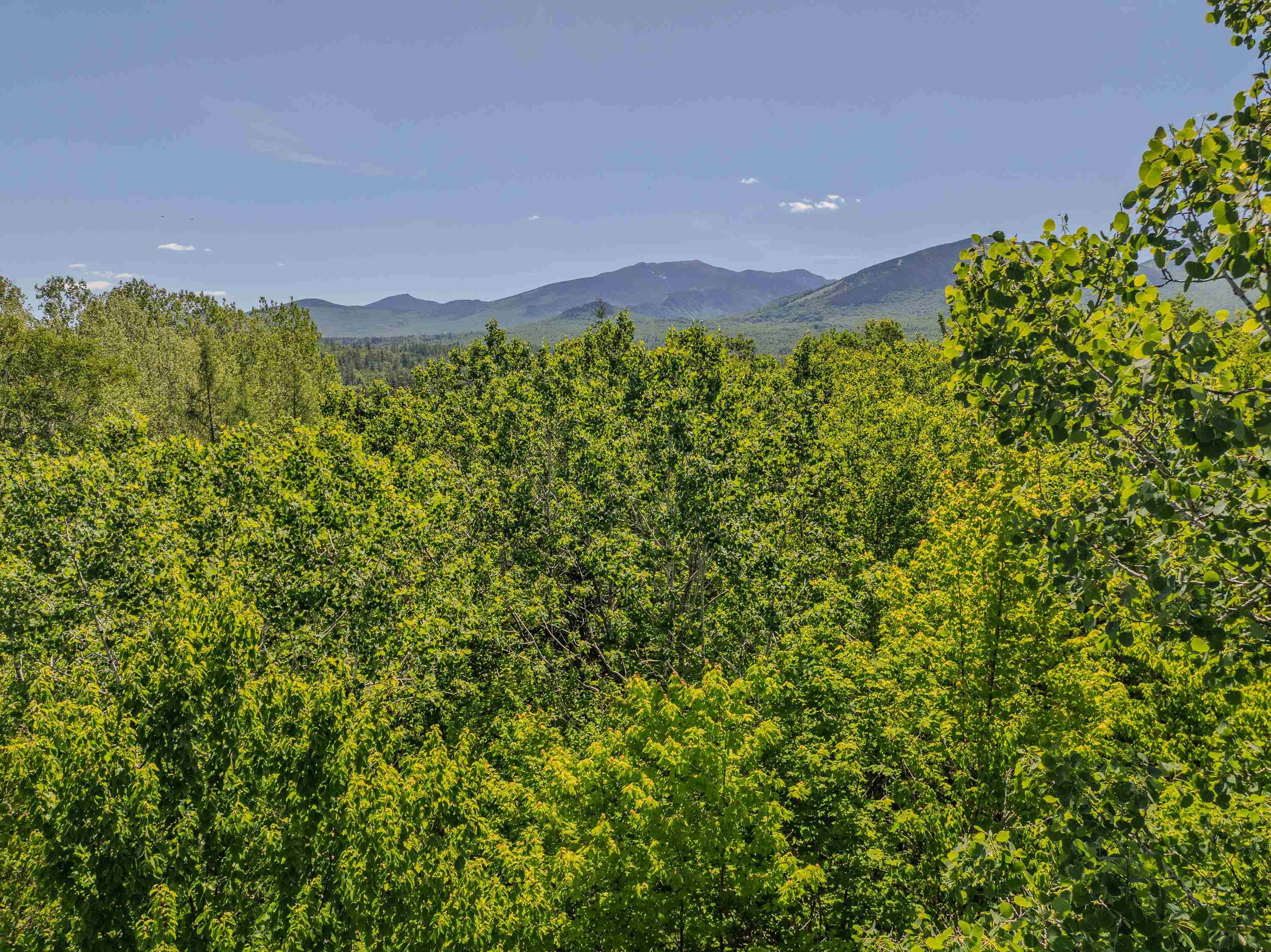 175 Rockwood Road Property Photo 6
