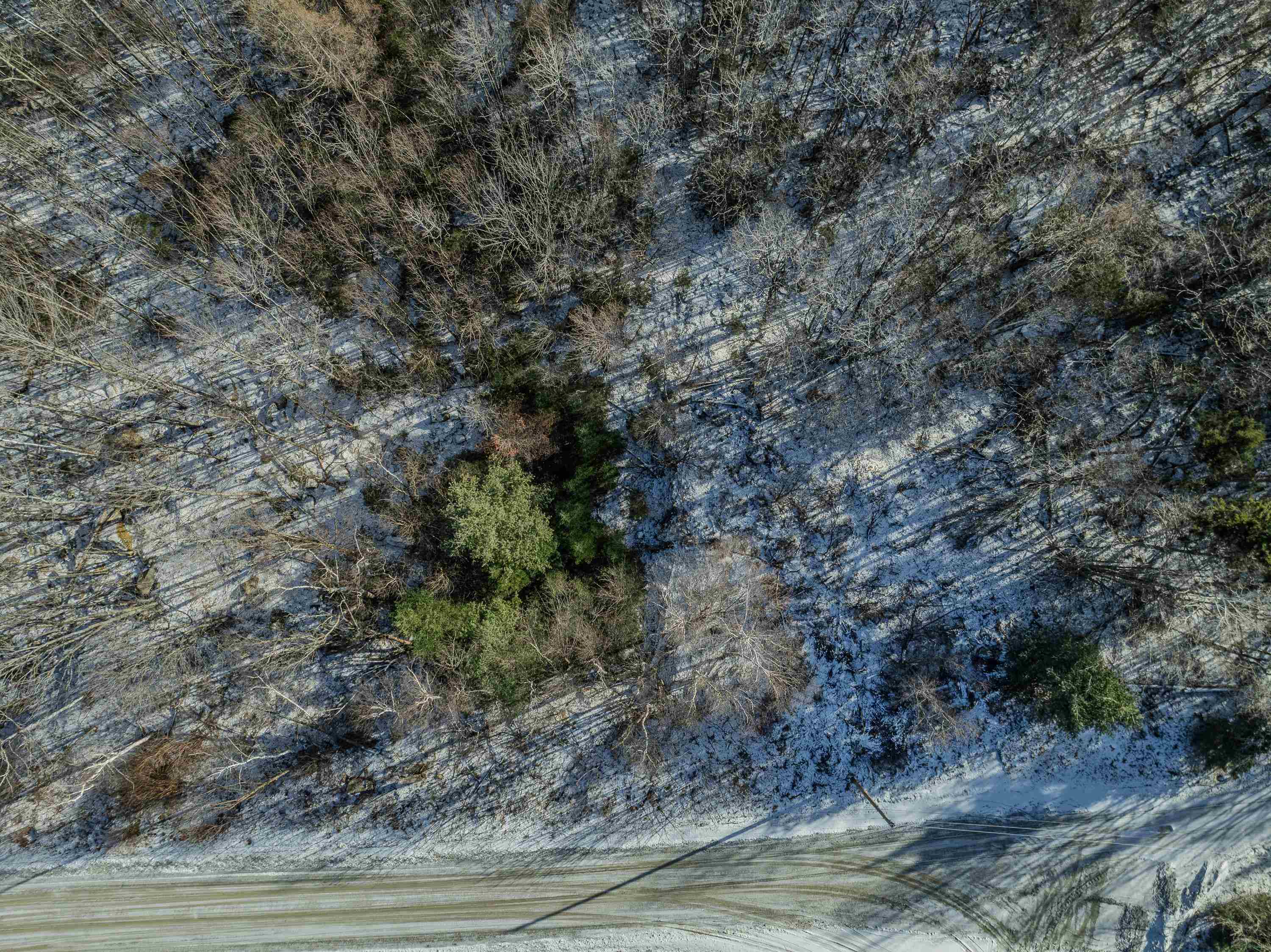 175 Rockwood Road Property Photo 41