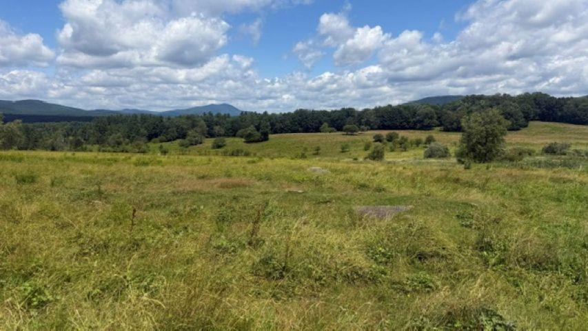 264 Grimes Road Property Photo 8
