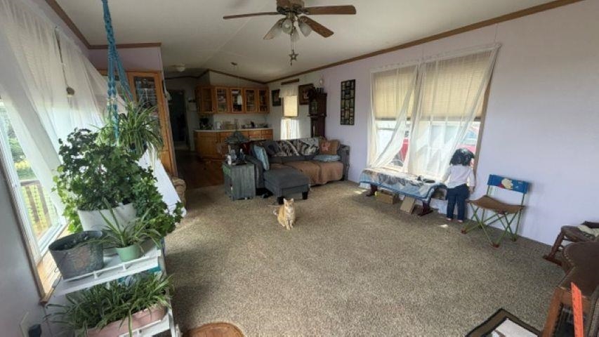264 Grimes Road Property Photo 13