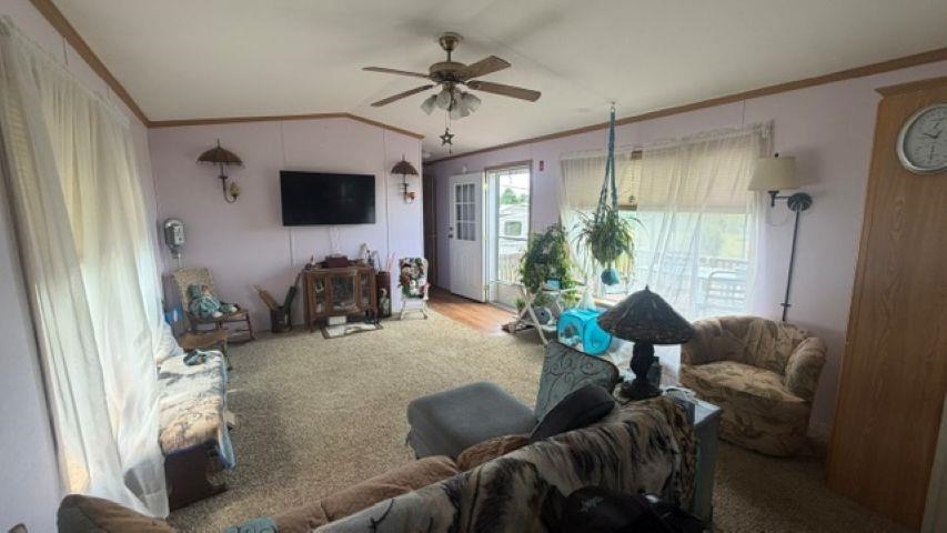264 Grimes Road Property Photo 14