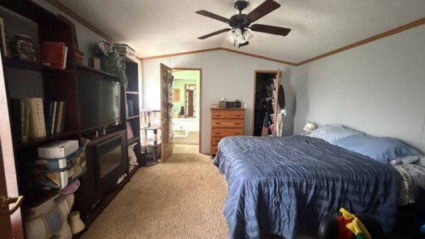 264 Grimes Road Property Photo 23