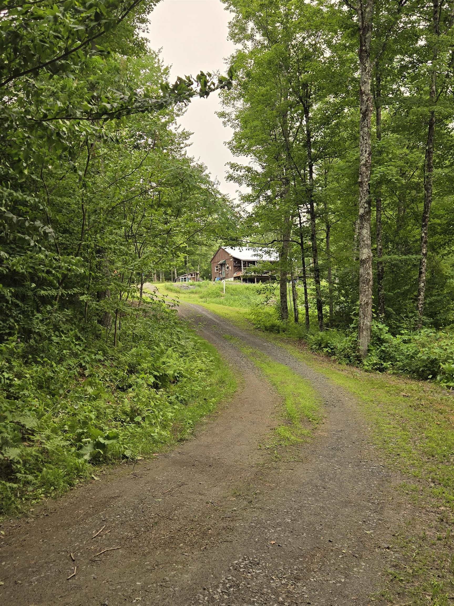237 Upper Maloney Road Property Photo 4