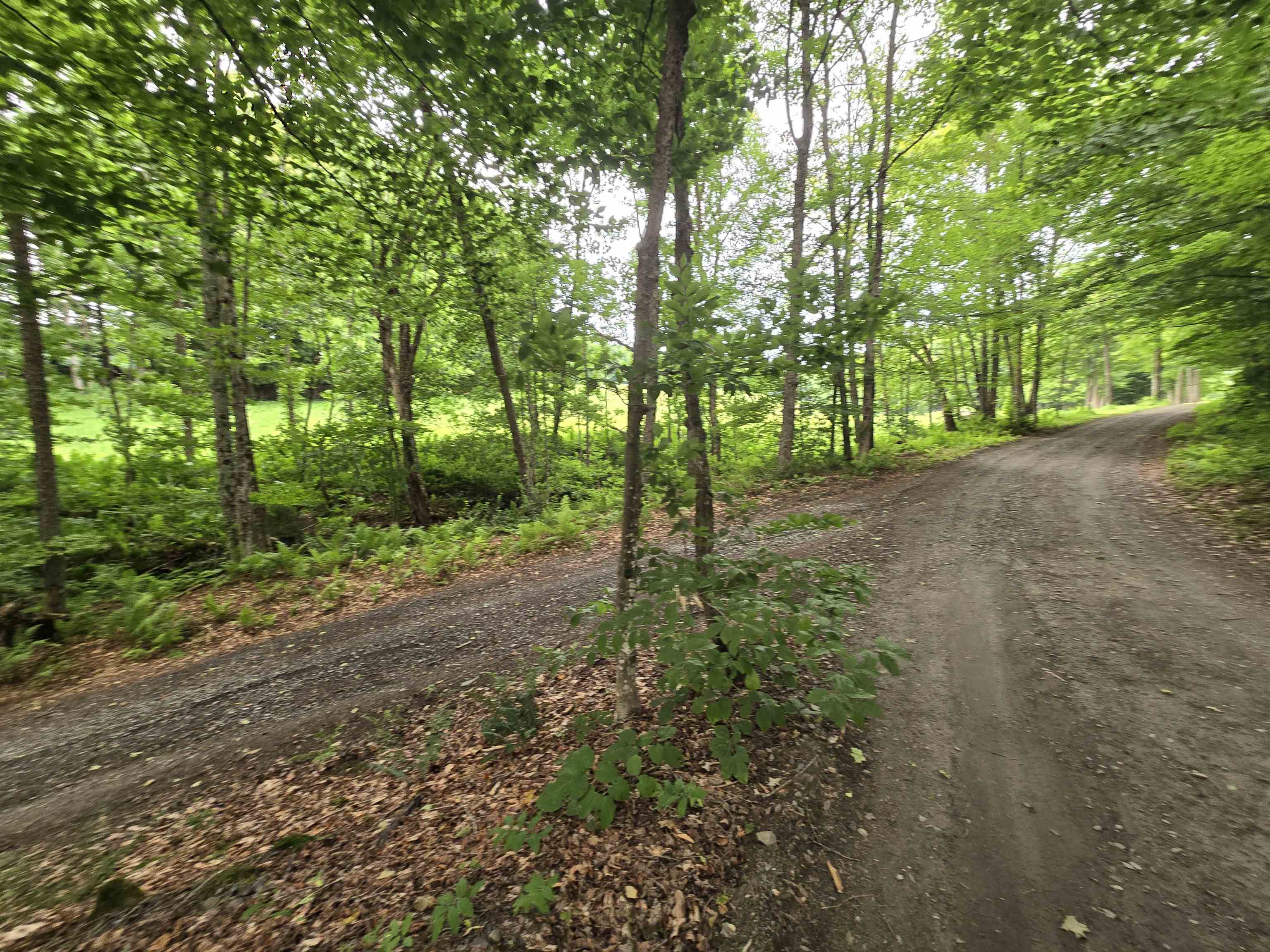 237 Upper Maloney Road Property Photo 5