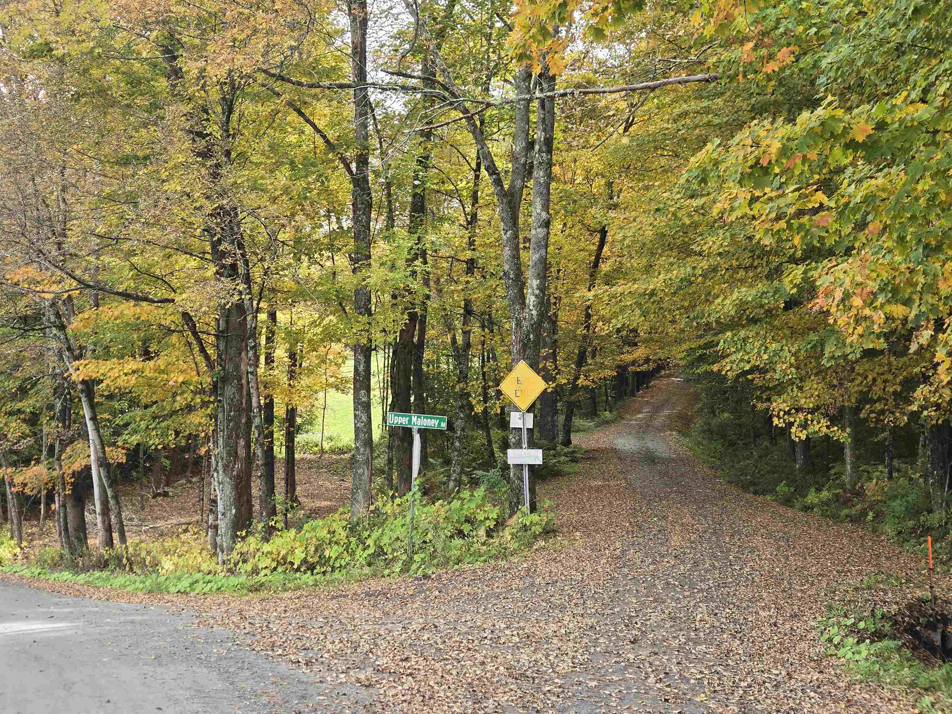 237 Upper Maloney Road Property Photo 5