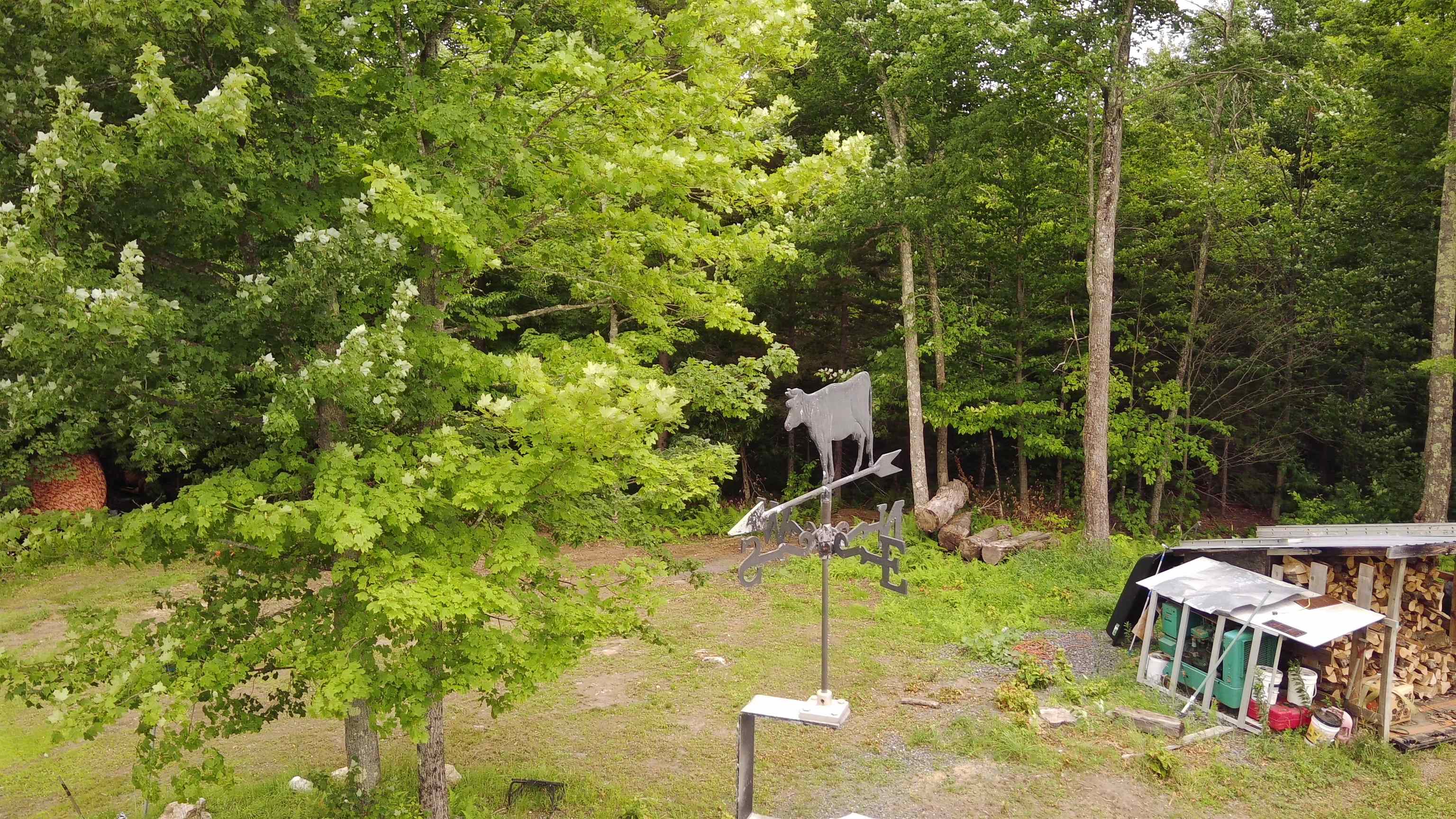 237 Upper Maloney Road Property Photo 38