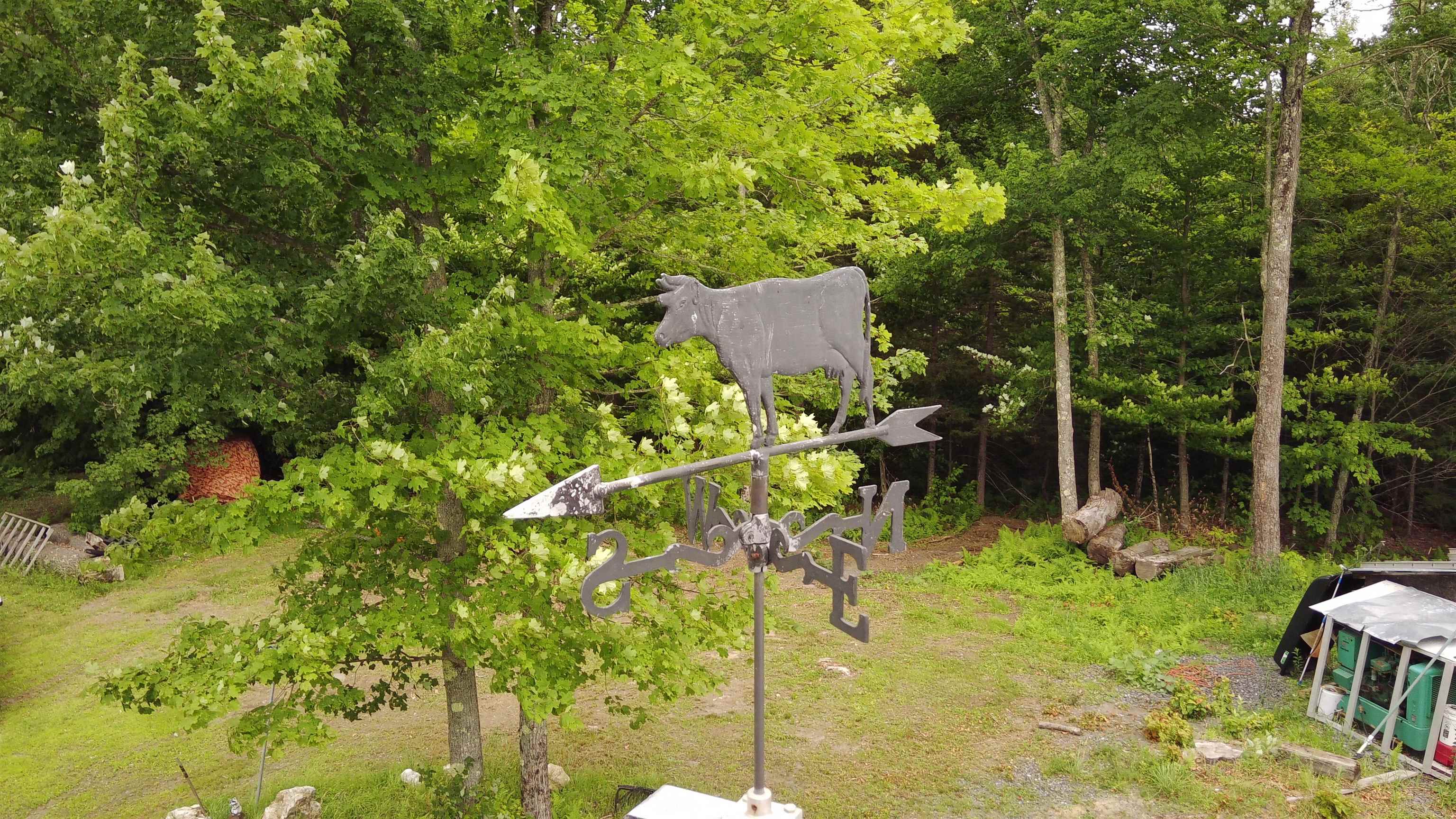237 Upper Maloney Road Property Photo 39
