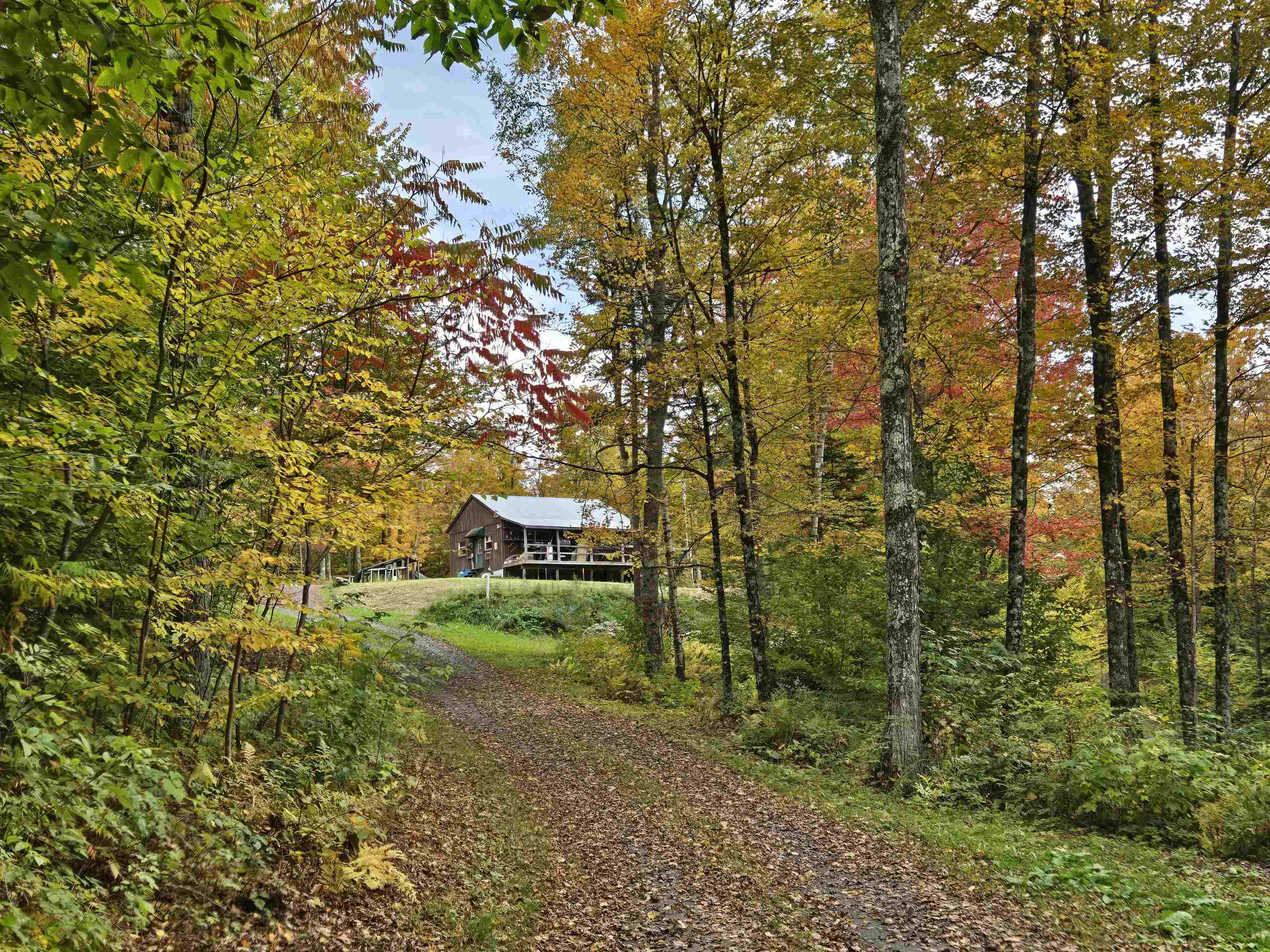 237 Upper Maloney Road Property Photo 59