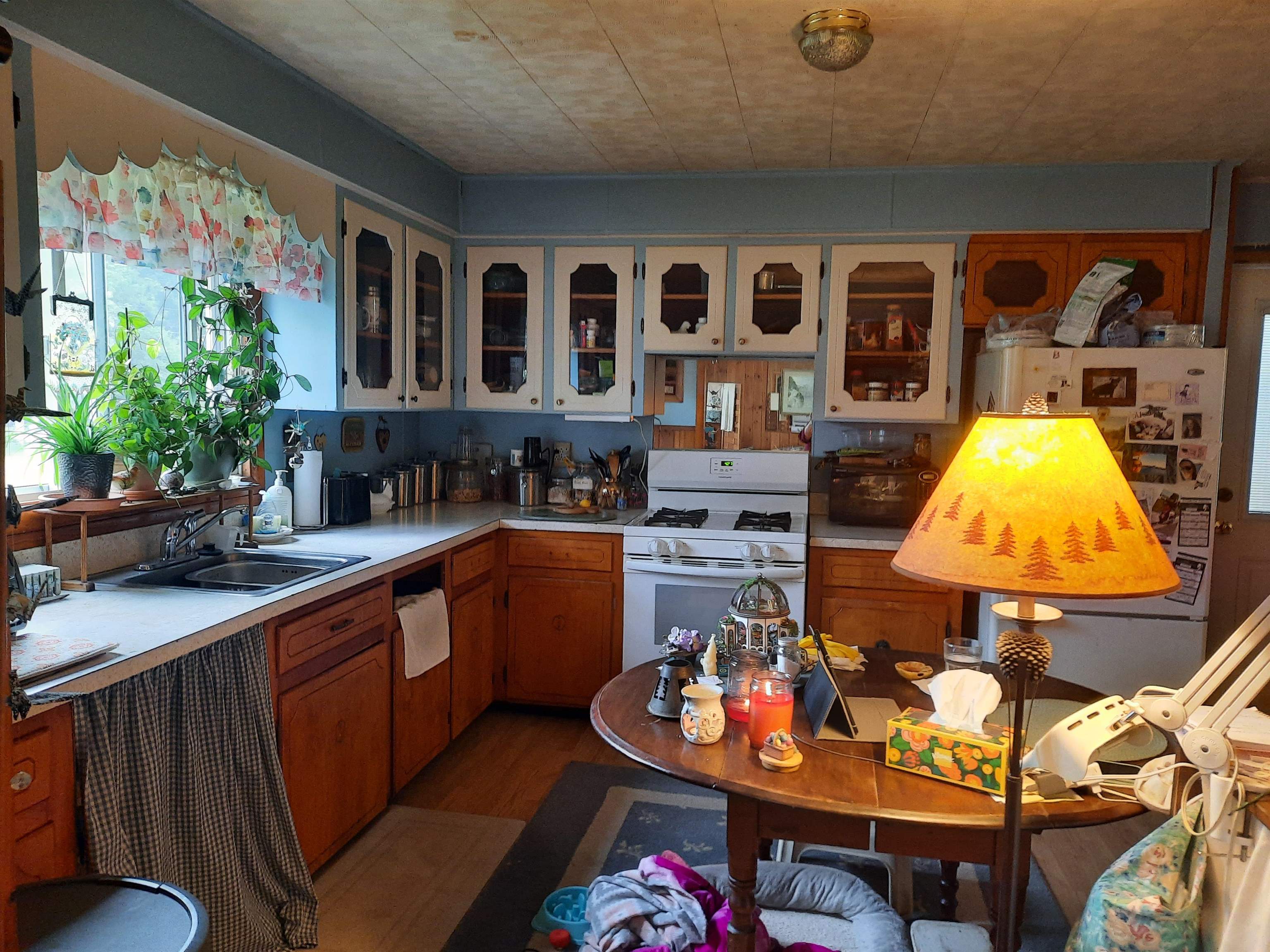 66 Pariseau Drive Property Photo 14