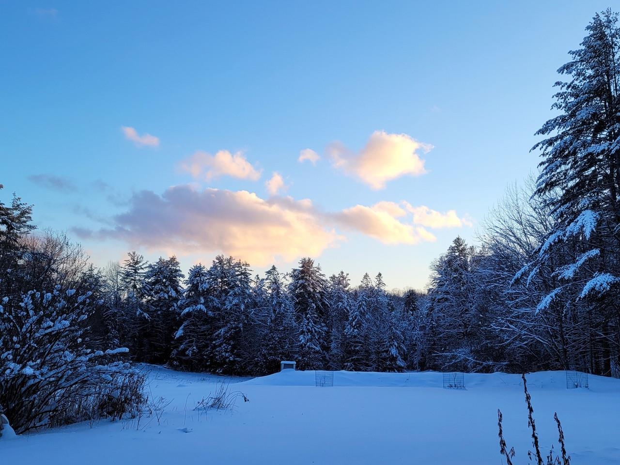 663 Guyette Road Property Photo 55