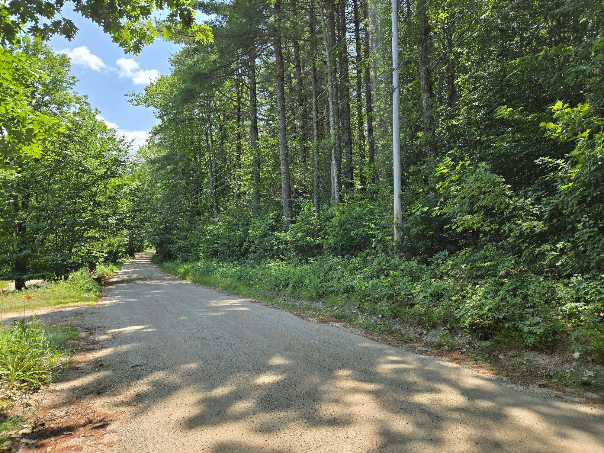 Lot 28 Davis Hill Road Property Photo 1