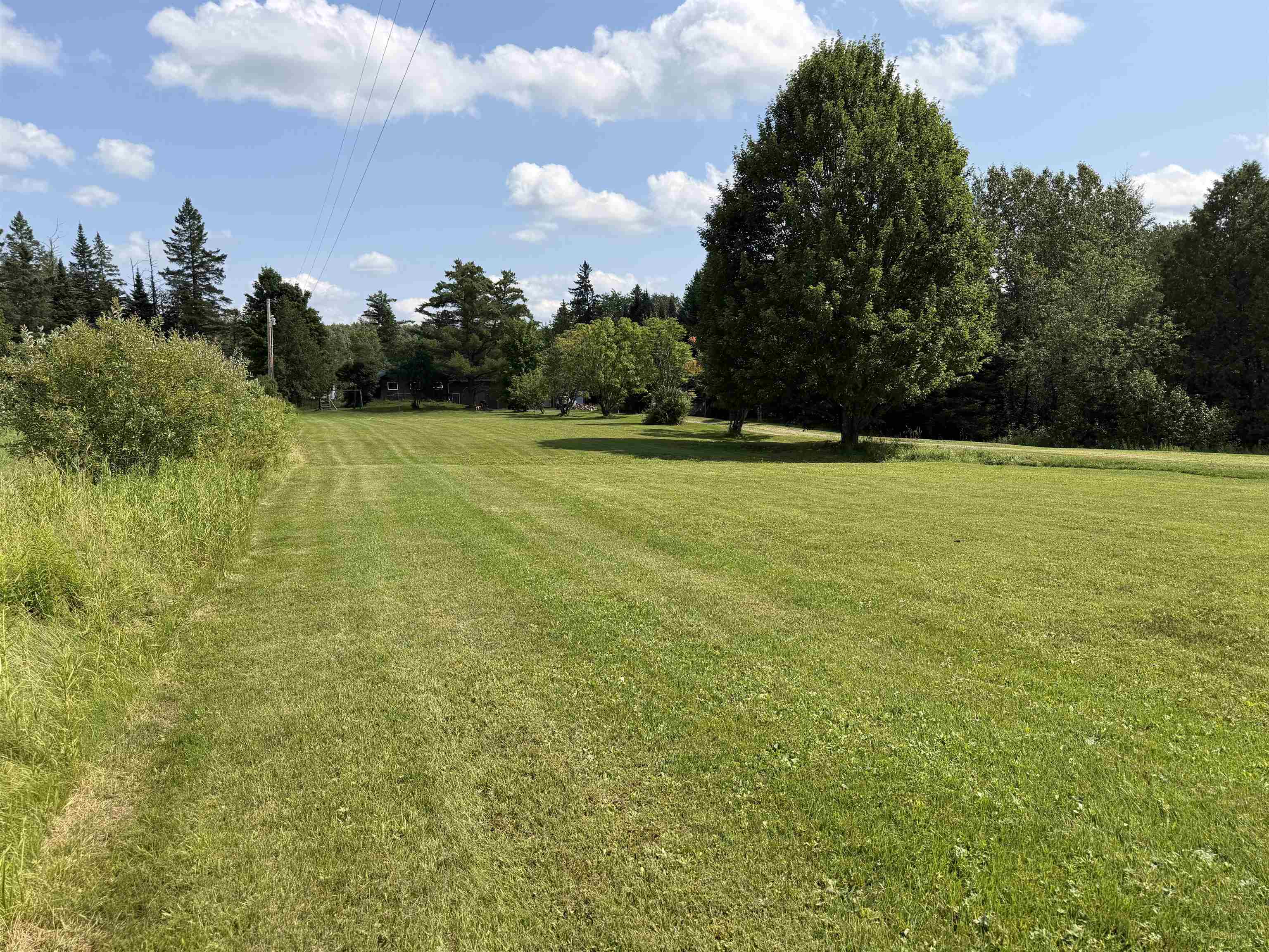 928 Holland Pond Road Property Photo 5