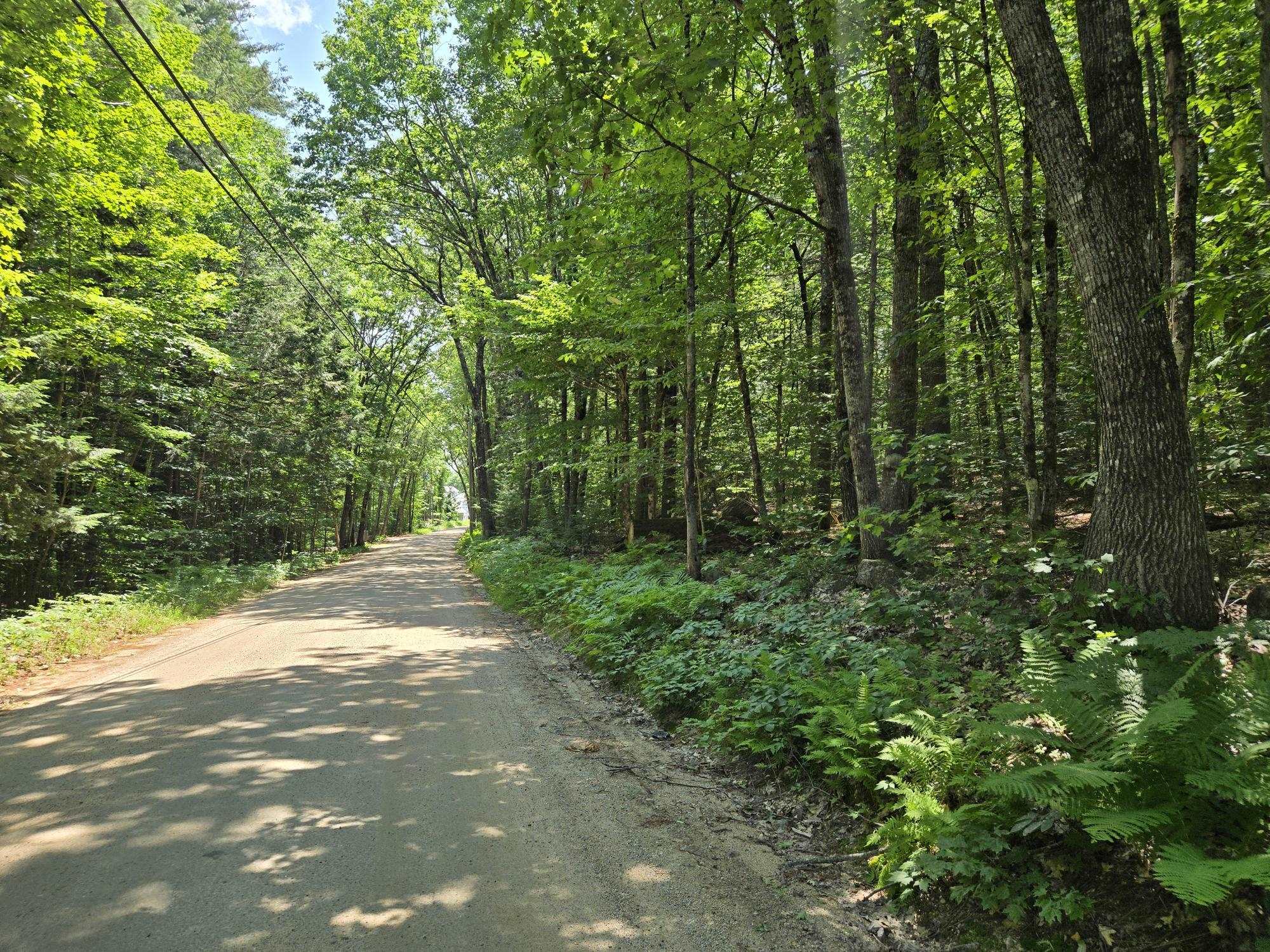 Lot 27 Davis Hill Road Property Photo 14