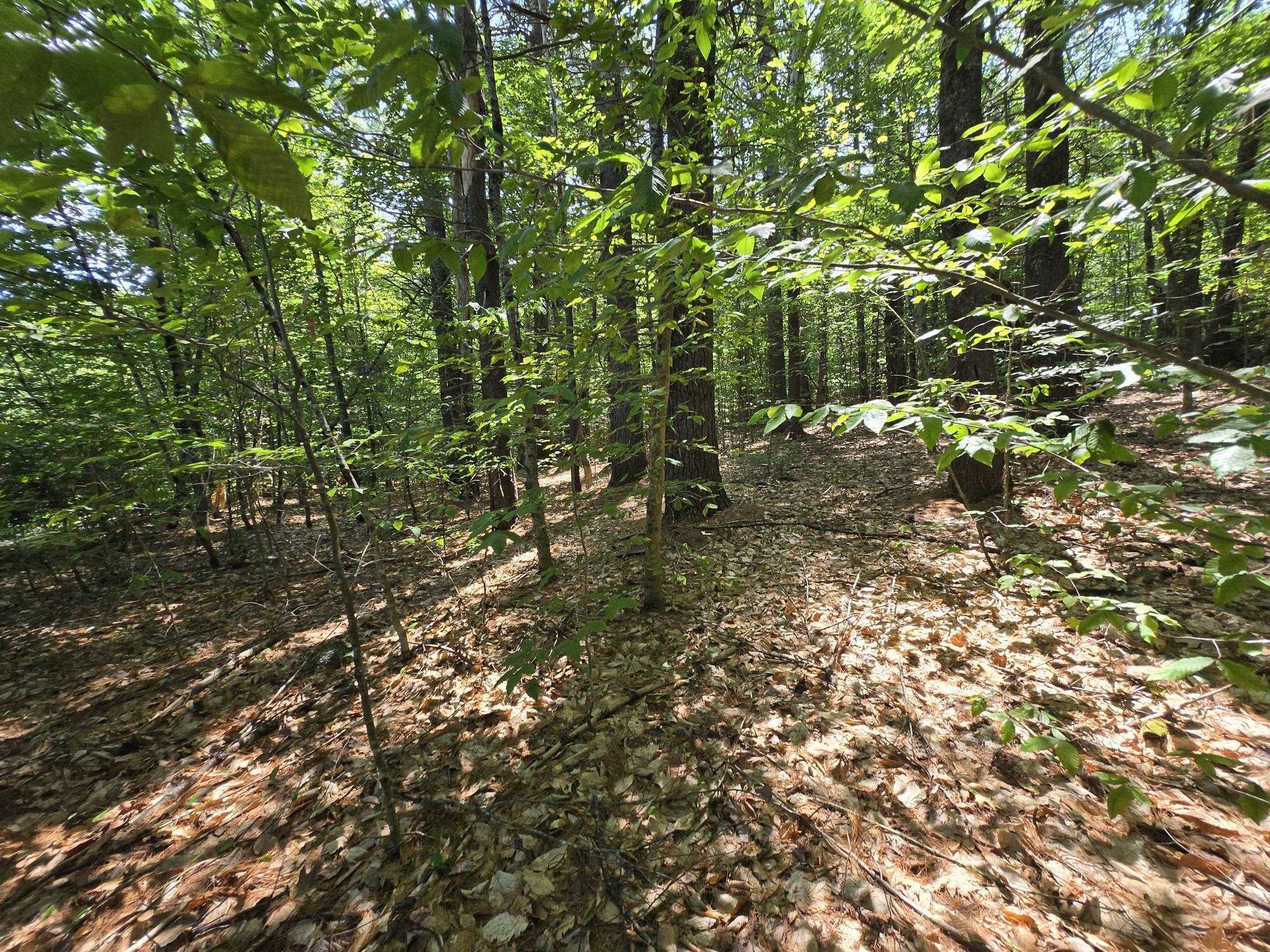 Lot 27 Davis Hill Road Property Photo 16