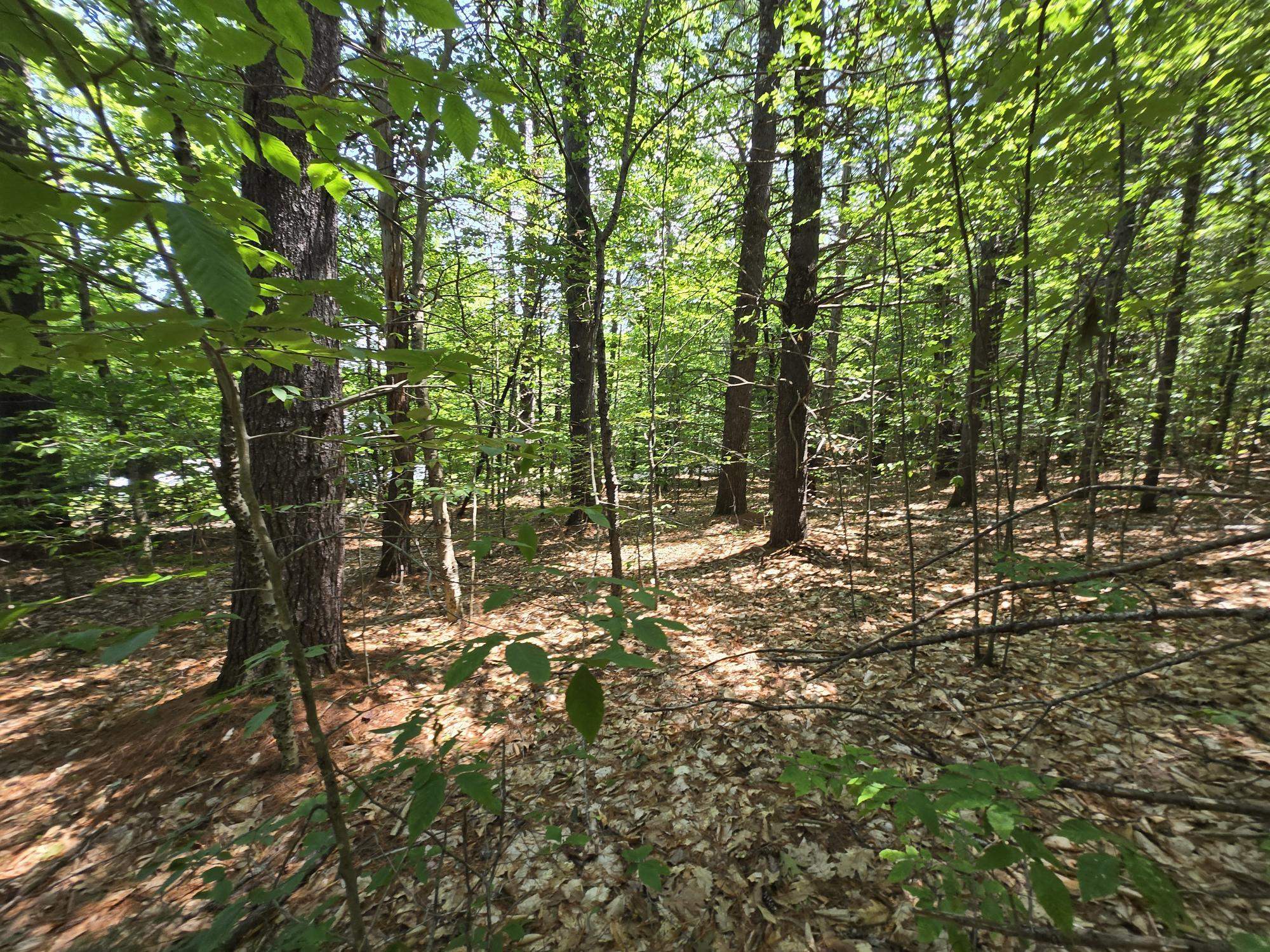 Lot 27 Davis Hill Road Property Photo 19