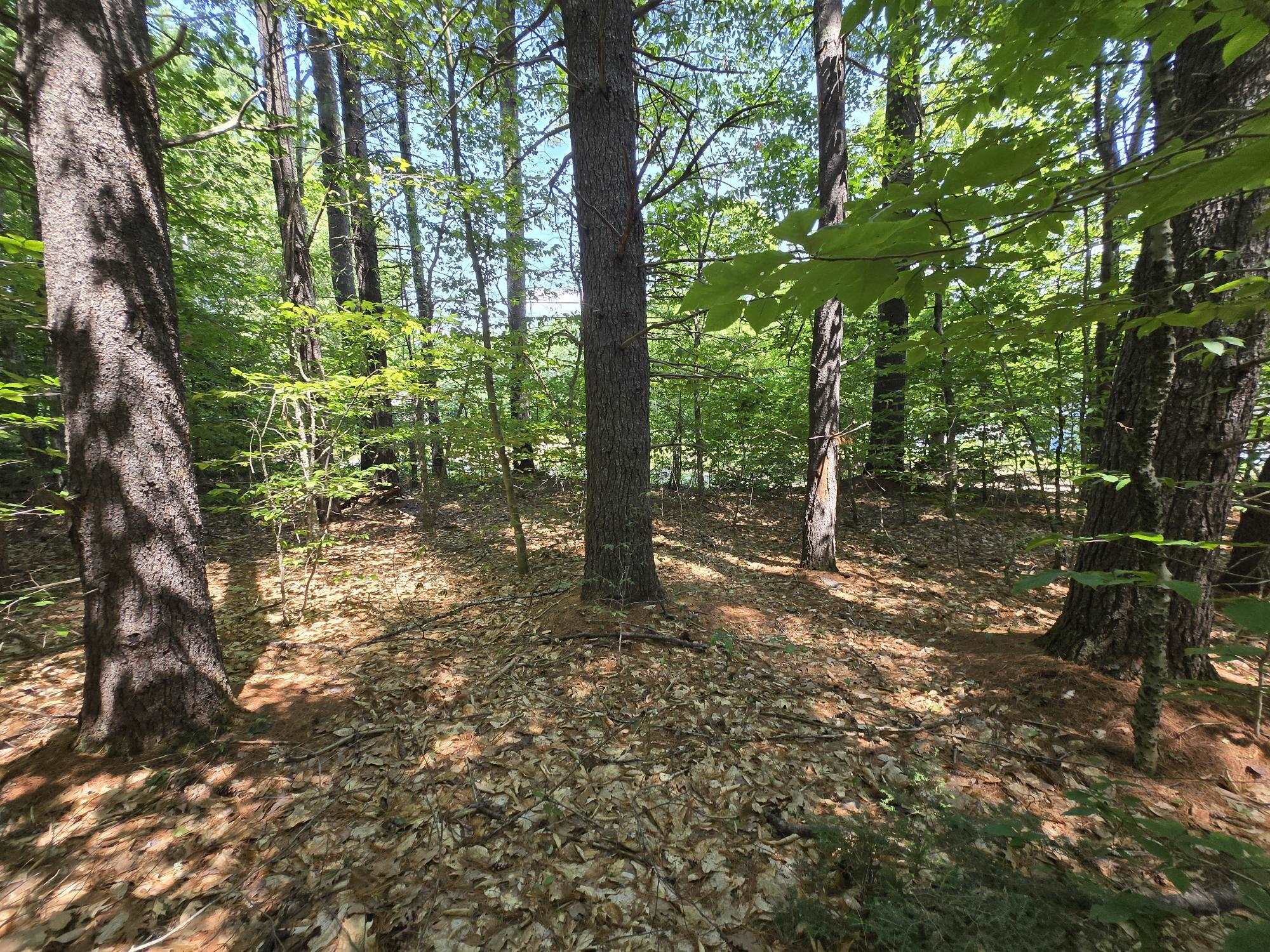 Lot 27 Davis Hill Road Property Photo 20