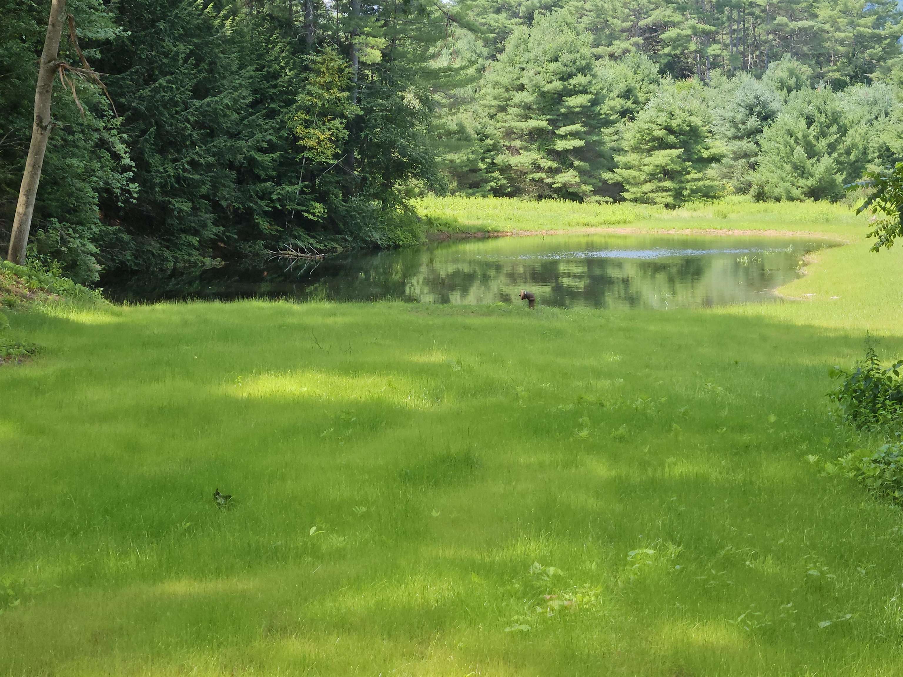 14 Bellmore Drive Property Photo 30
