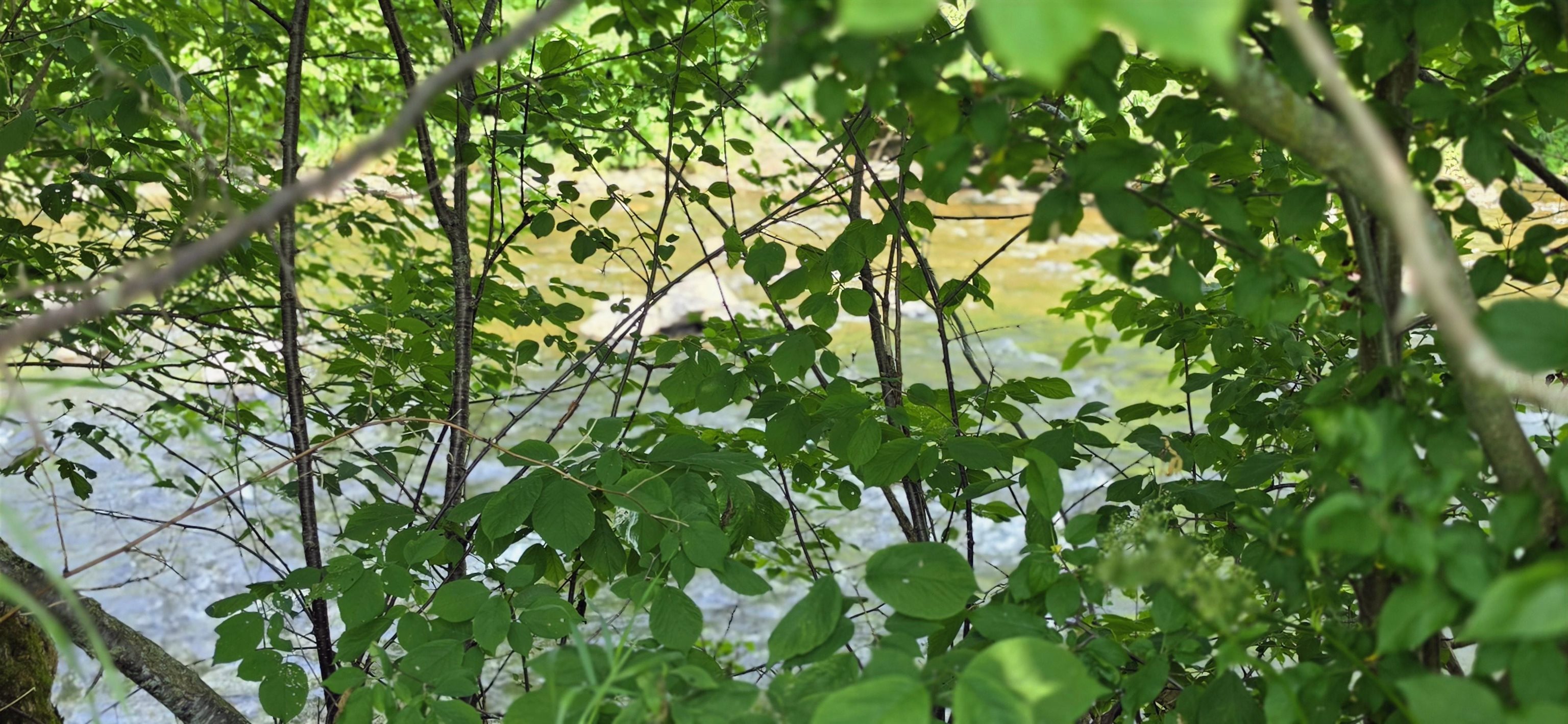 969 Vt Route 105 Property Photo 5