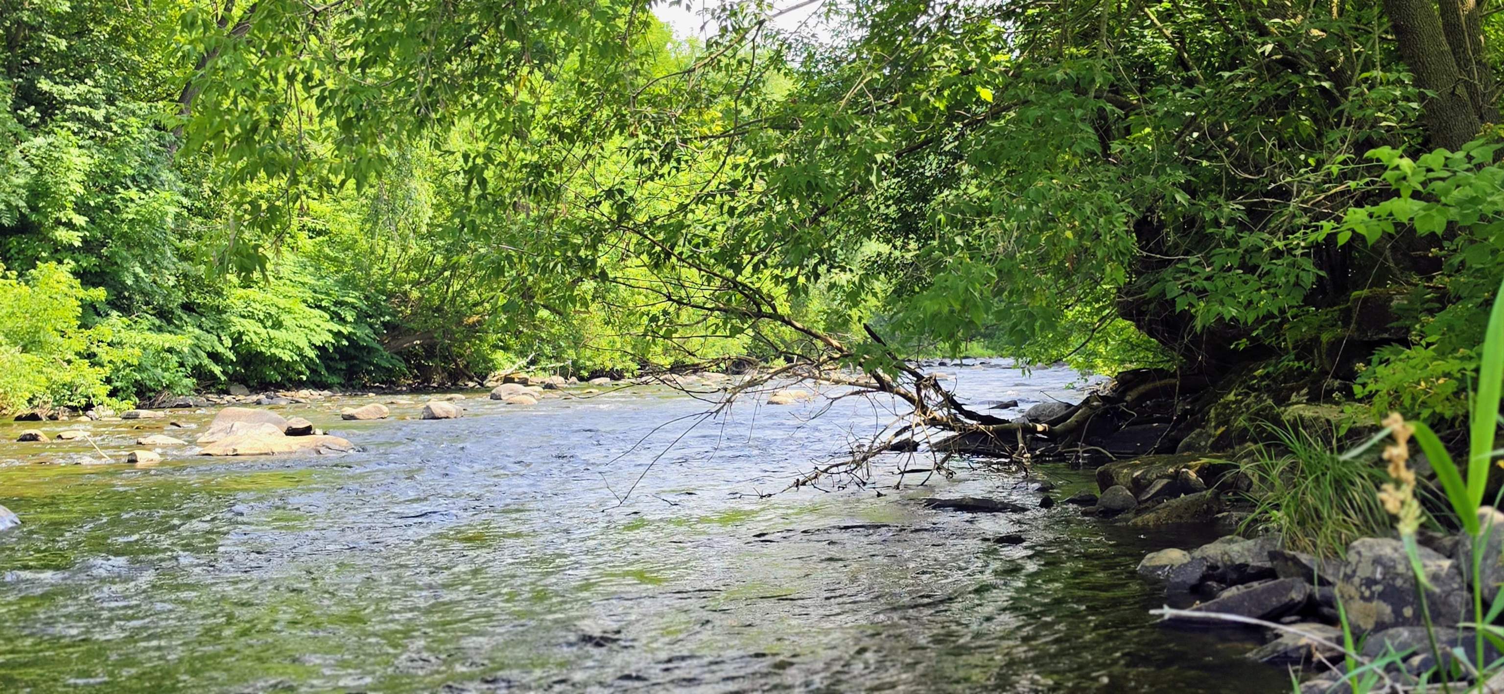 969 Vt Route 105 Property Photo 8
