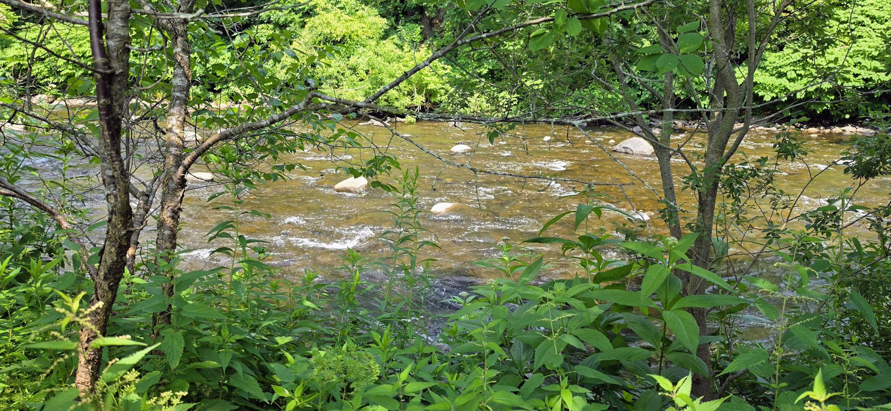 969 Vt Route 105 Property Photo 9