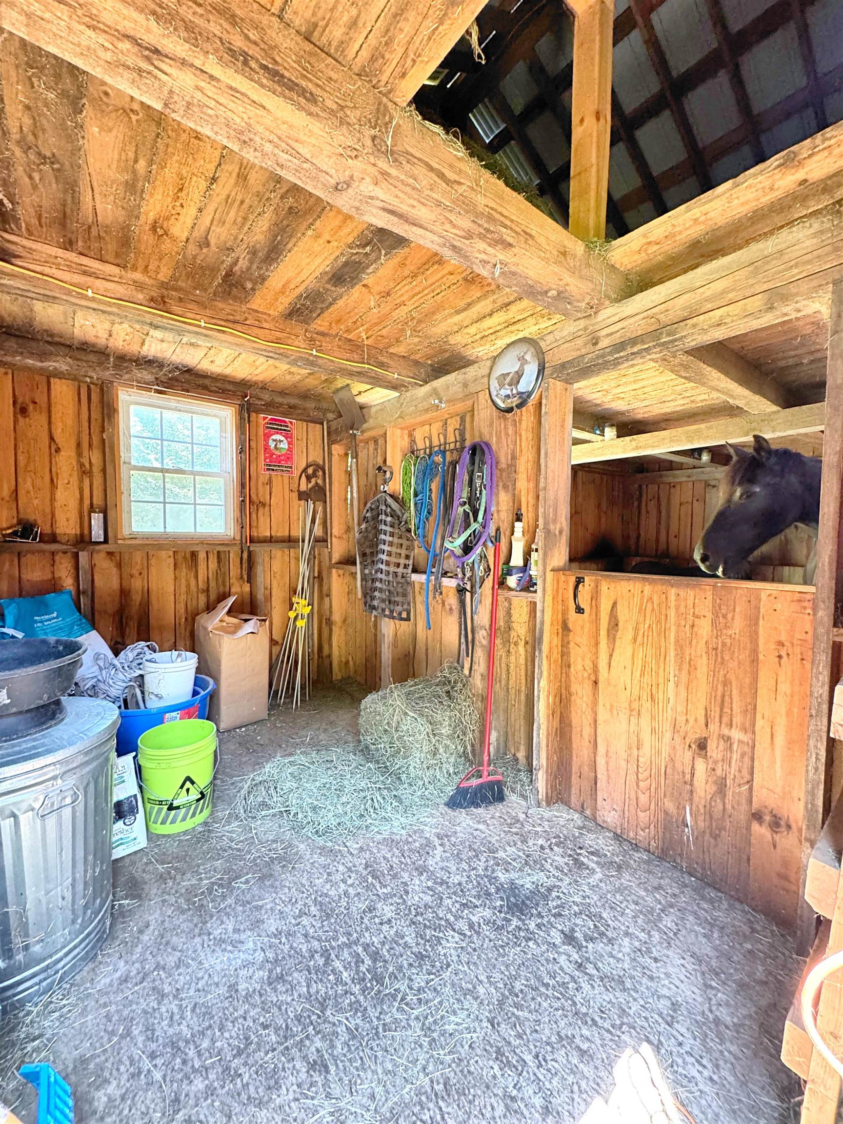 175 Beechwood Drive Property Photo 30