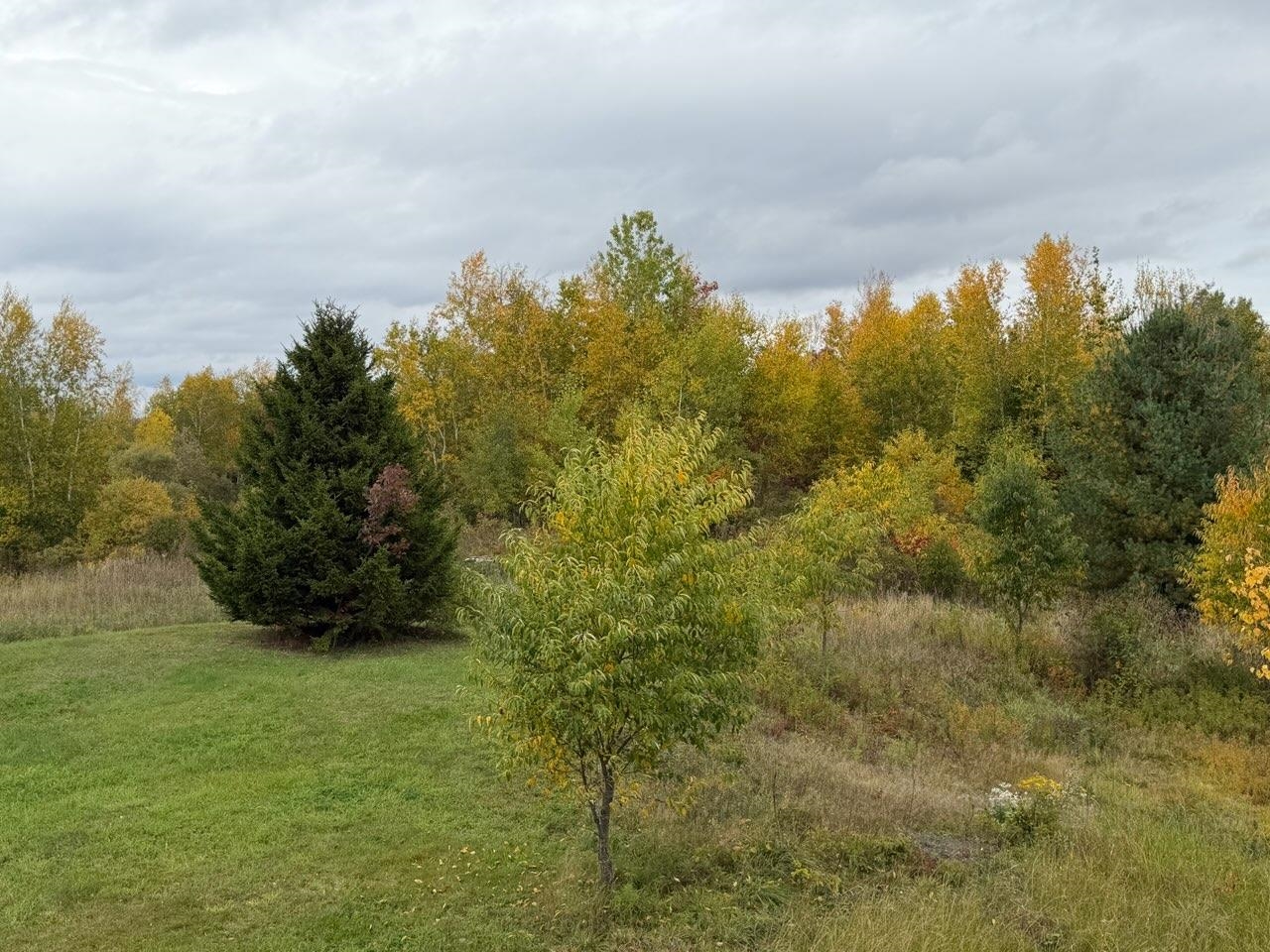128 Emzaga Drive Property Photo 26