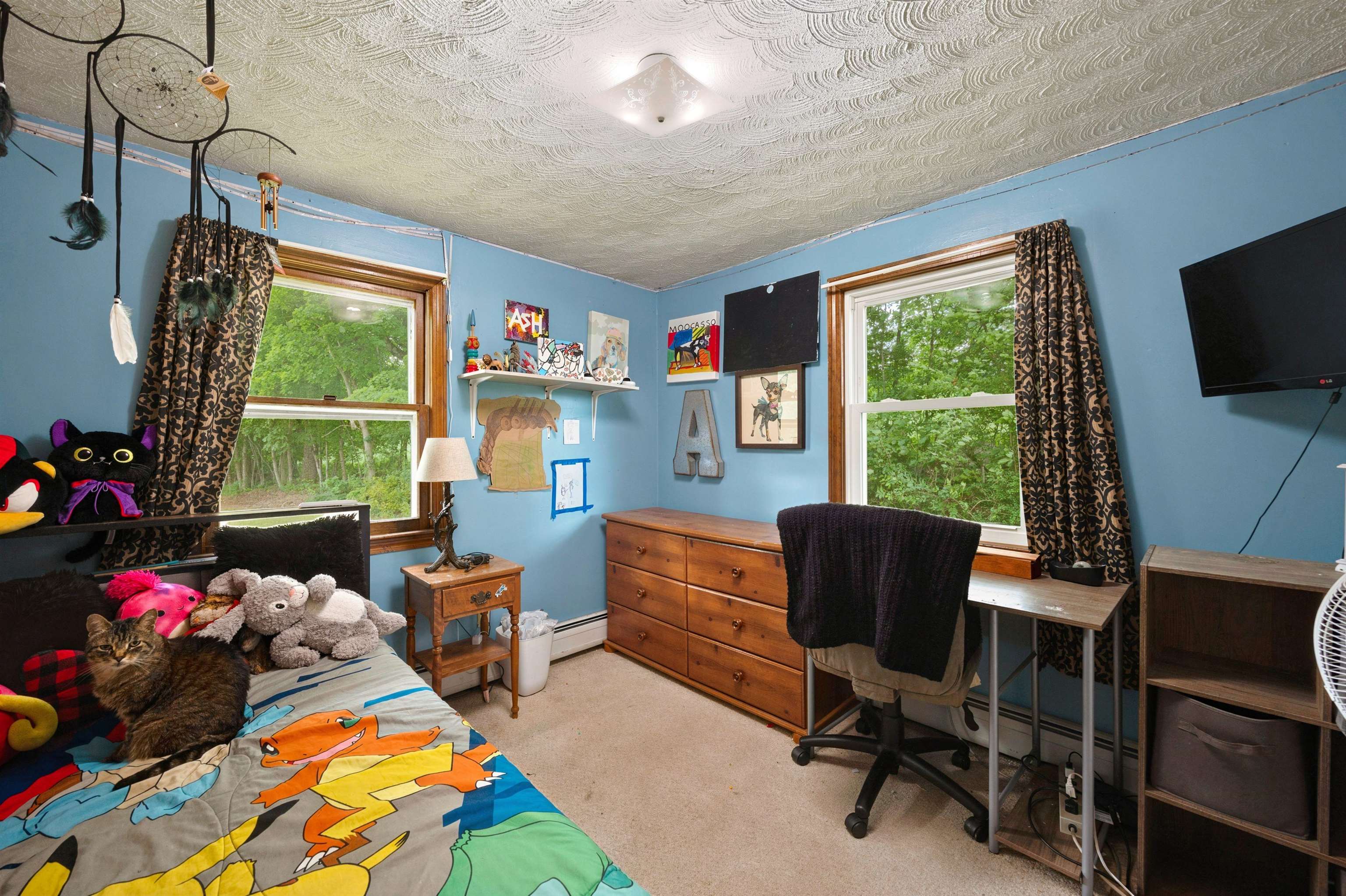 38 Storrs Drive Property Photo 33