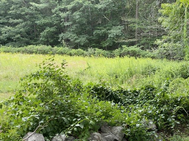 640 Washington Road Property Photo 4