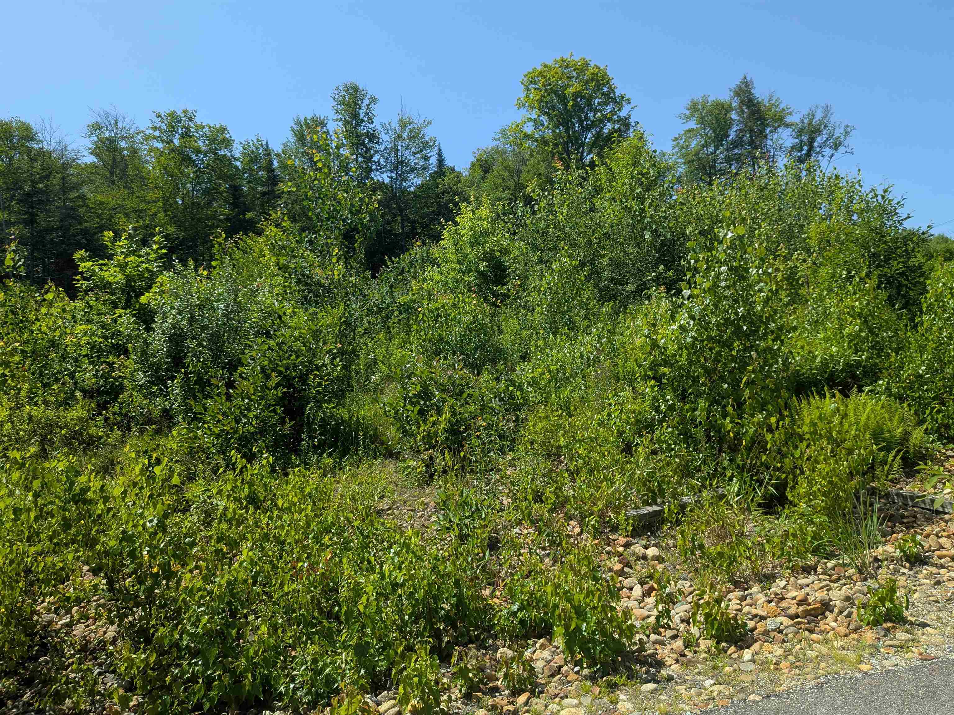1 Boulder Point Drive Property Photo 9