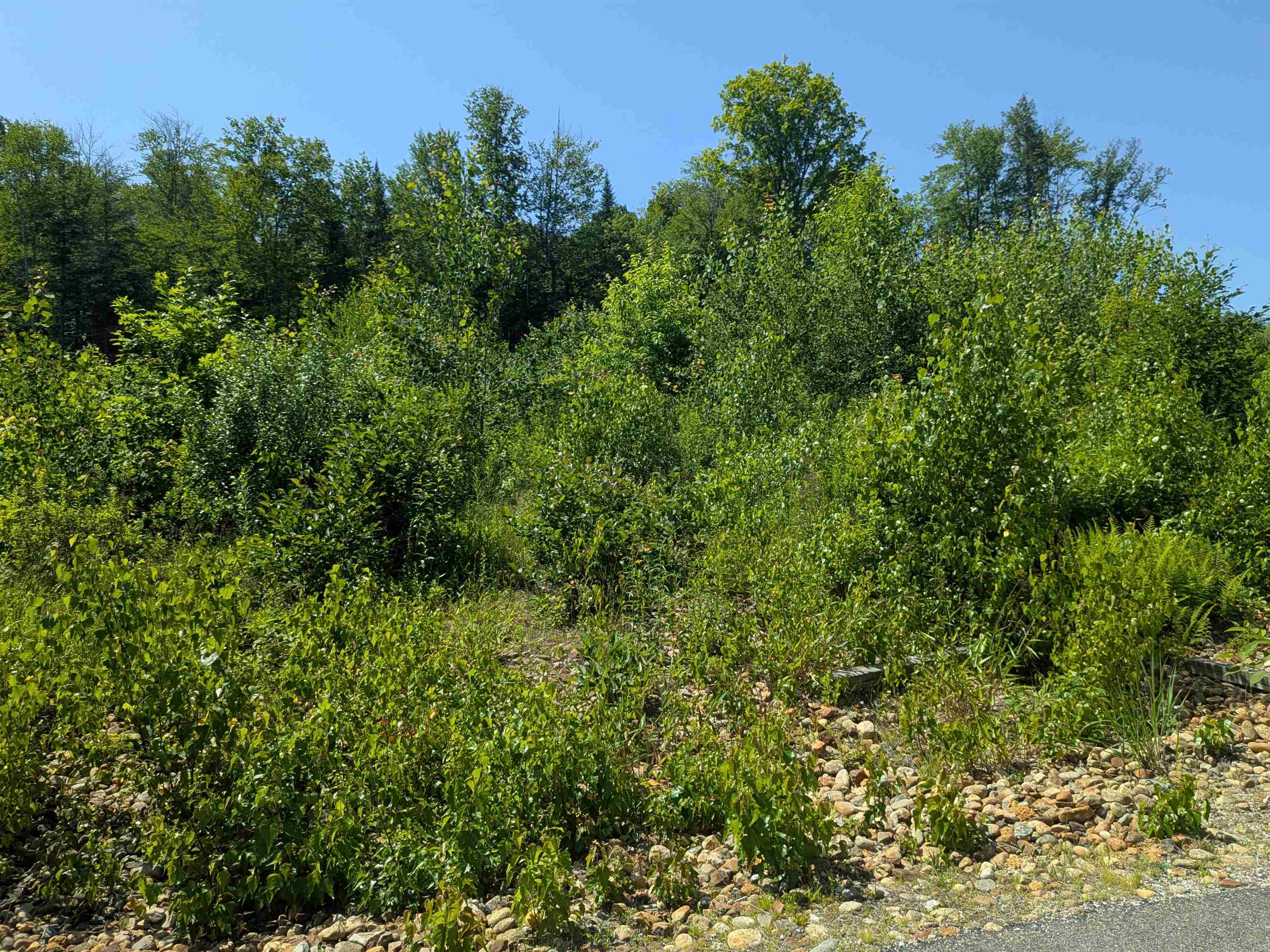 1 Boulder Point Drive Property Photo 10