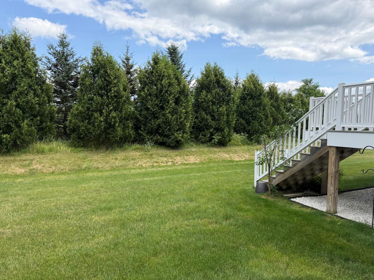 181 Sommerfield Avenue Property Photo 3
