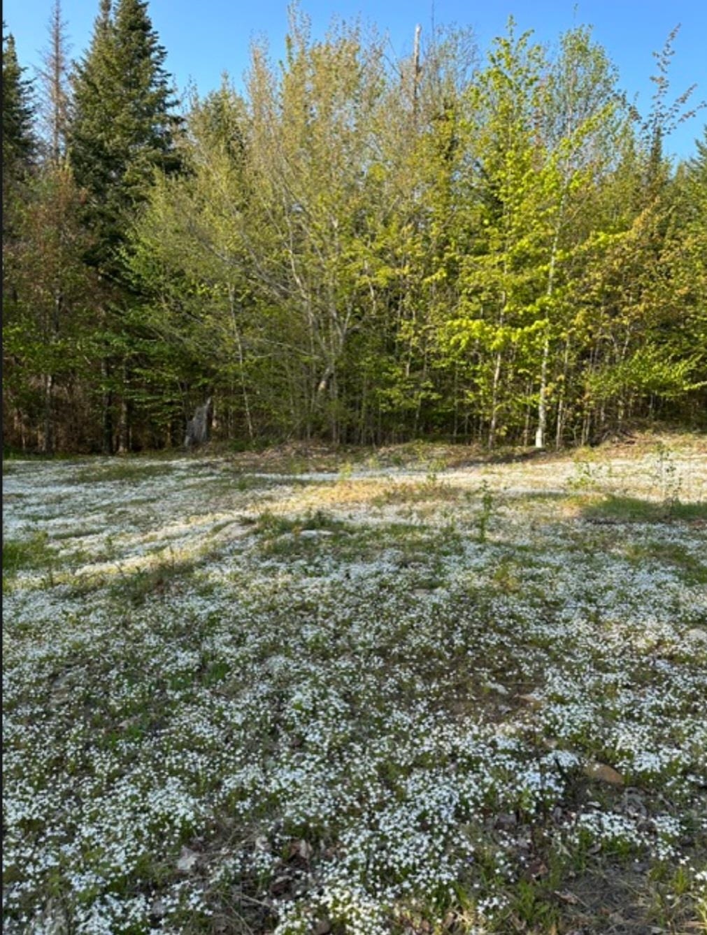 44 Spur Road Property Photo 56