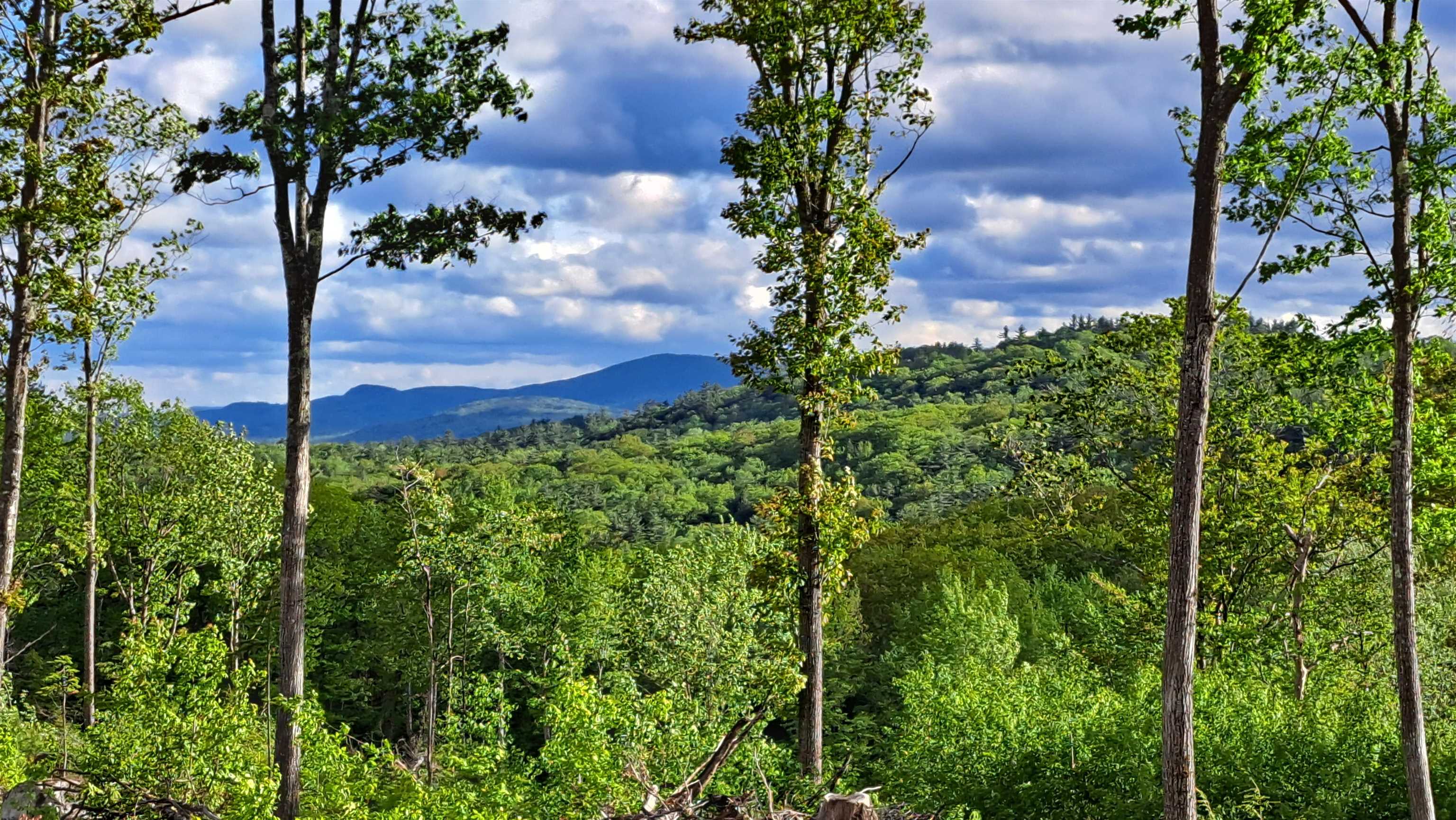 Xxx Whispering Winds Way Property Photo 6