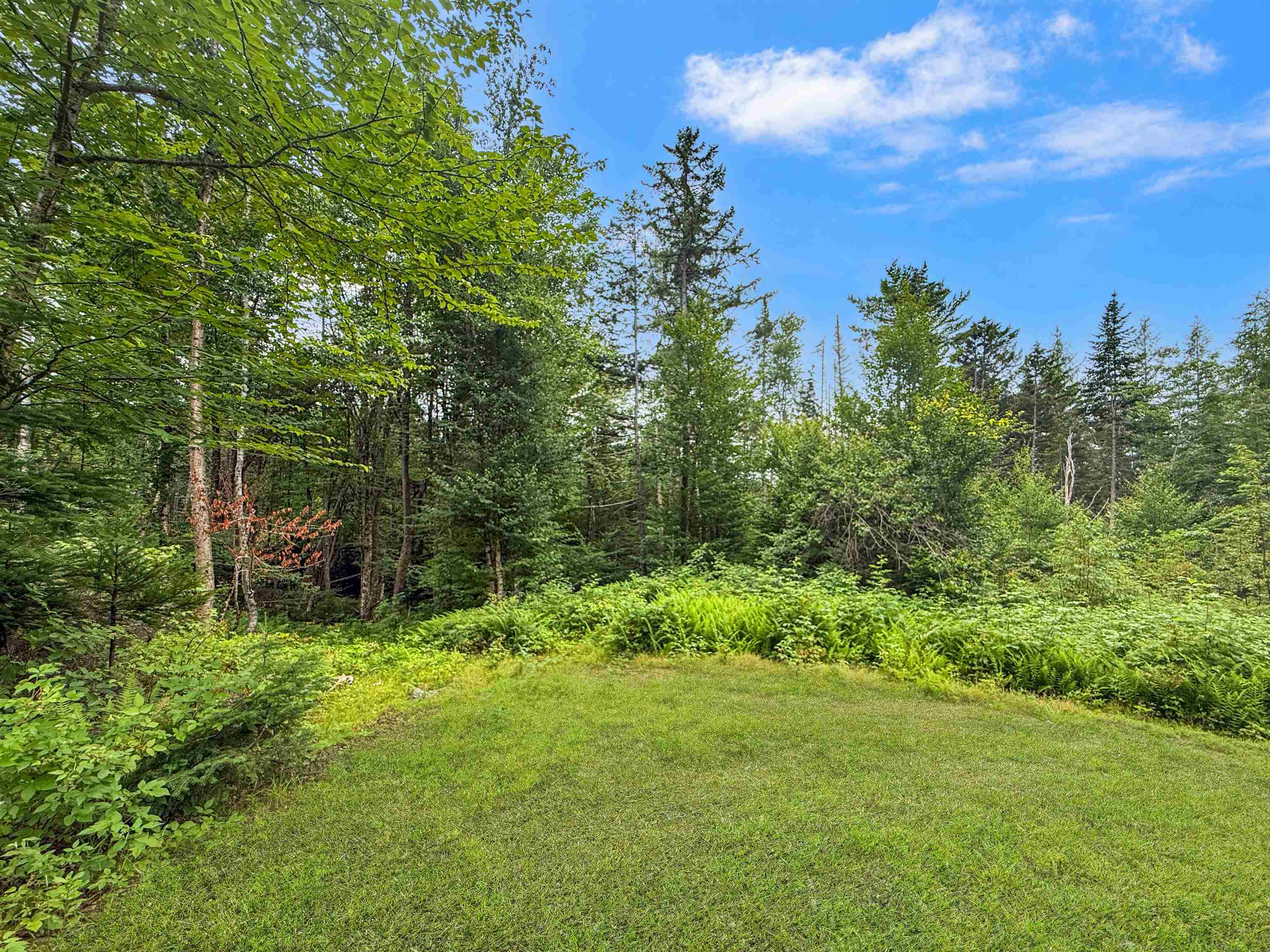 584 Bog Road Property Photo 27