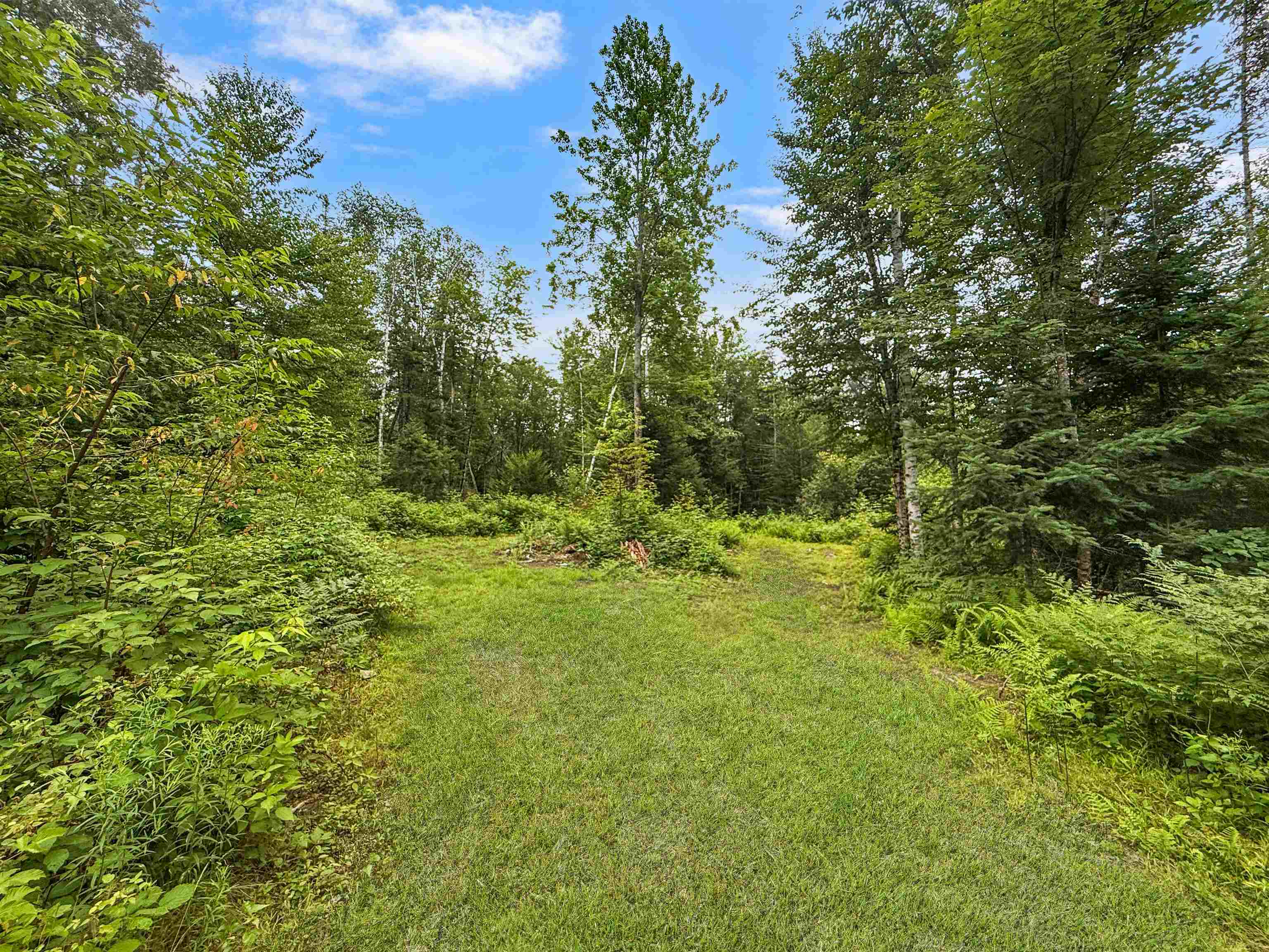 584 Bog Road Property Photo 28