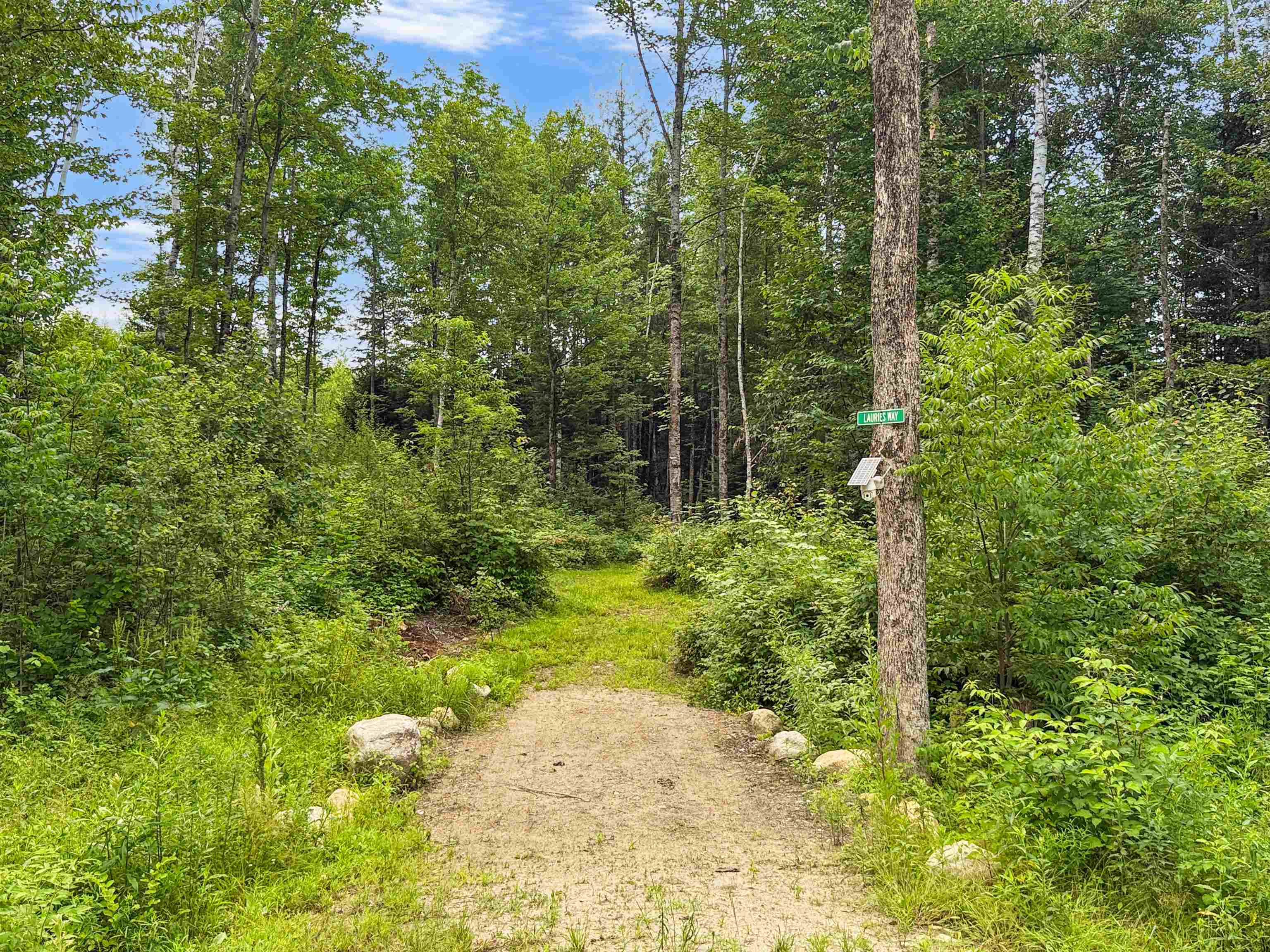 584 Bog Road Property Photo 29