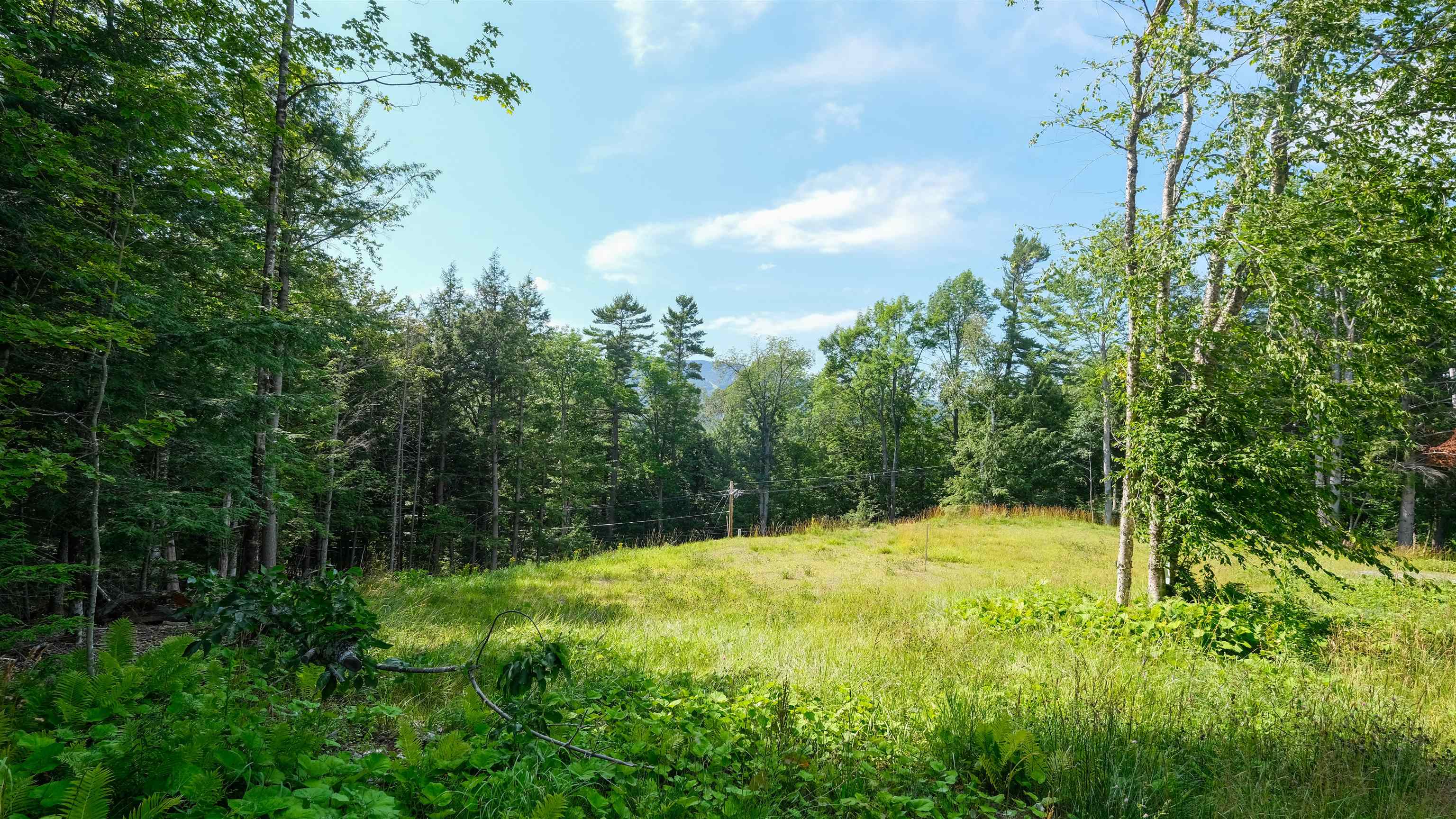 228 Town Farm Road Property Photo 6