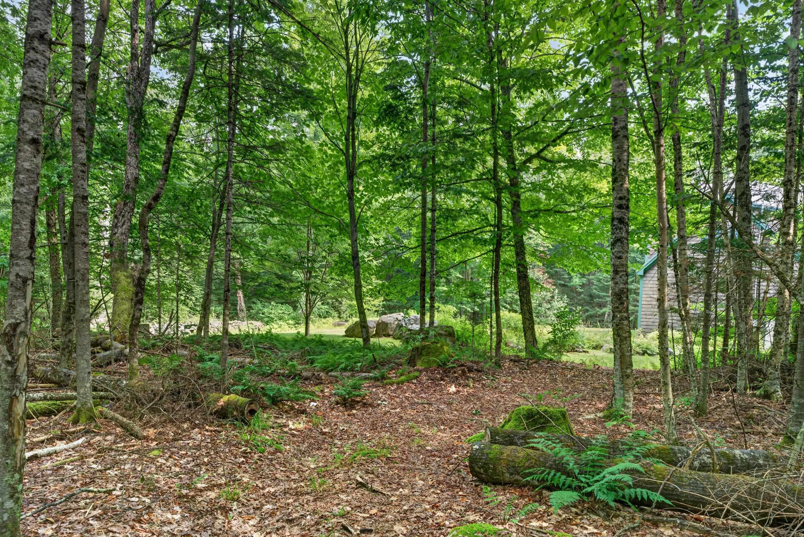 110 Toad Hill Road Property Photo 56