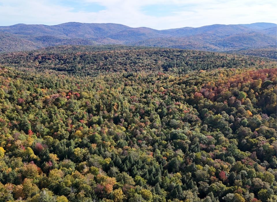 0 Black Bear Road Property Photo 1