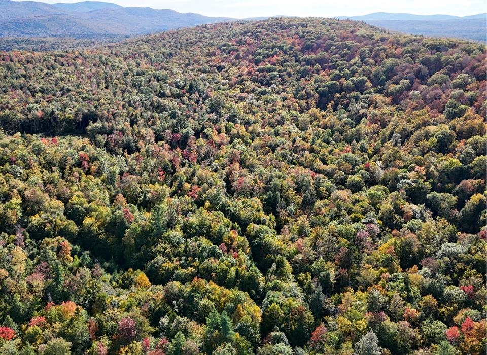 0 Black Bear Road Property Photo 2