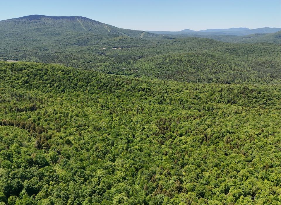 0 Black Bear Road Property Photo 3