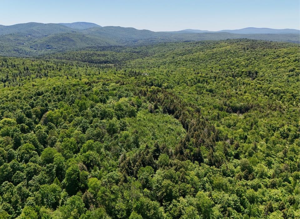 0 Black Bear Road Property Photo 4