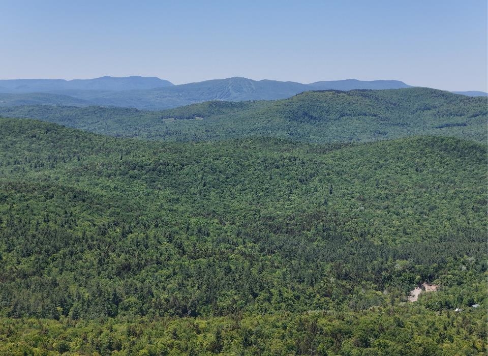 0 Black Bear Road Property Photo 5