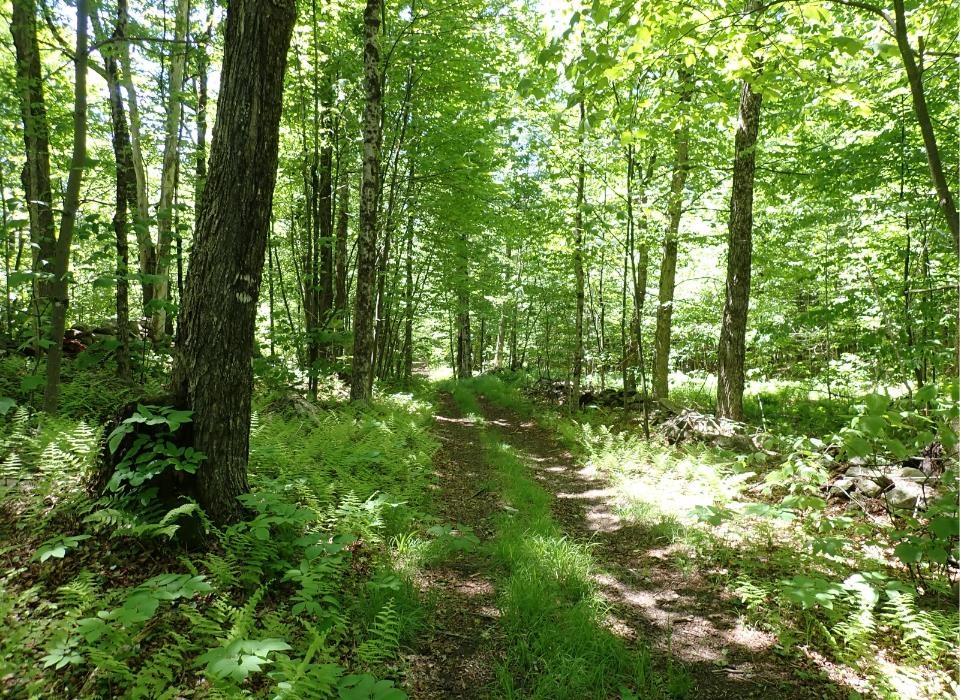 0 Black Bear Road Property Photo 6
