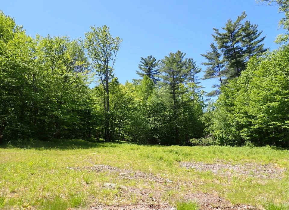 0 Black Bear Road Property Photo 8