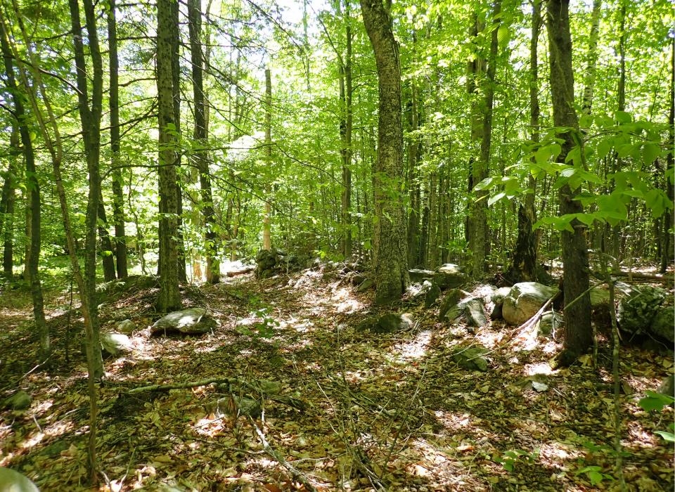 0 Black Bear Road Property Photo 10