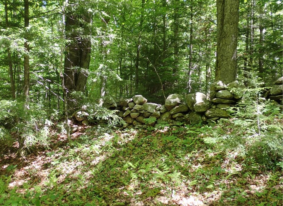 0 Black Bear Road Property Photo 16