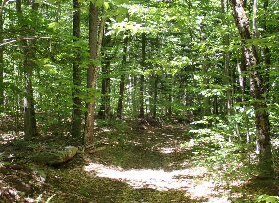 0 Black Bear Road Property Photo 18