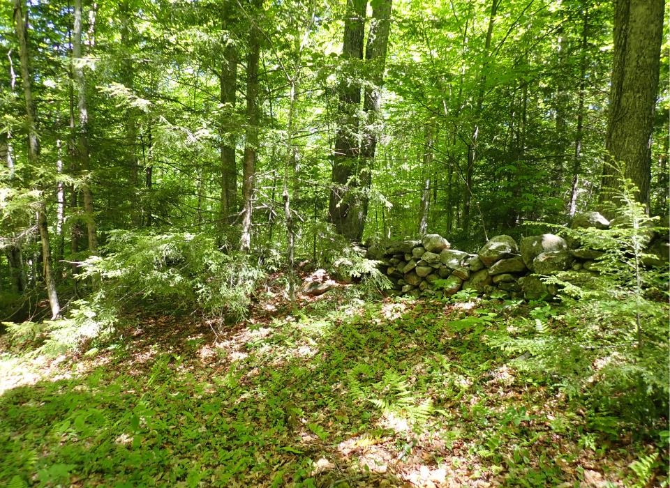0 Black Bear Road Property Photo 19