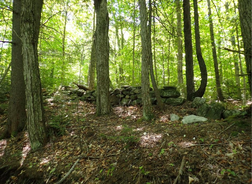 0 Black Bear Road Property Photo 21